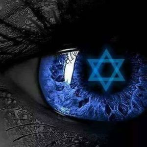 Meet your Posher, Freddie